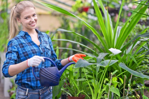 Gardener Kilburn team arriving at a garden site with tools