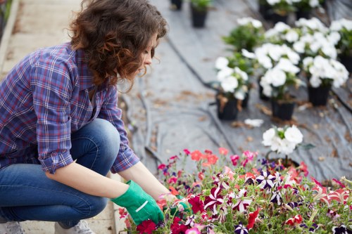 Gardener assessing a garden near a property